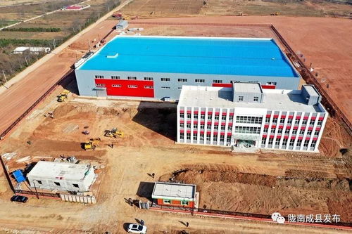 青岛陇南东西协作开新篇 首个重点项目冲刺投产，赋能农产品产业链升级