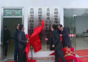 英德市东华区域性农机合作社揭牌成立 以农机化新引擎，赋能农产品提质增效