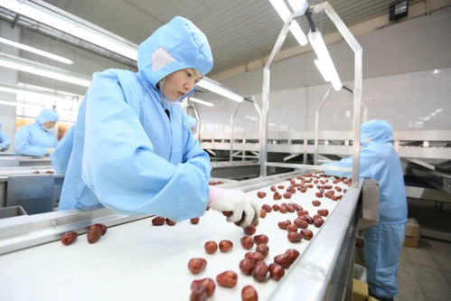 从五千元到八亿年销 西北农特产冠军的逆袭密码