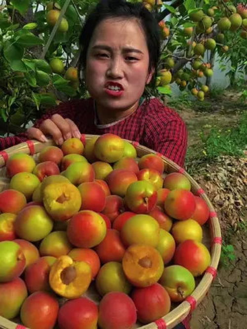 优质农产品 从田间到餐桌的品质之路