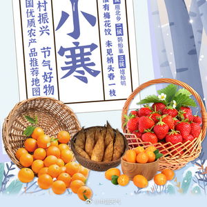 绘就中国味蕾新图景 全国优质农产品推荐地图