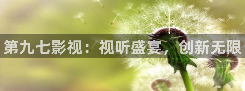 蓝莓养殖视频：第九七影视：视听盛宴，创新无限