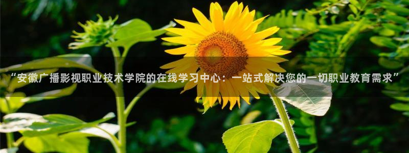 蓝莓tv视频：“安徽广播影视职业技术学院的在线学习中心：一站式解决您的一切职业教育需求”