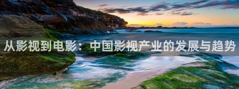 蓝莓视频134：从影视到电影：中国影视产业的发展与趋势