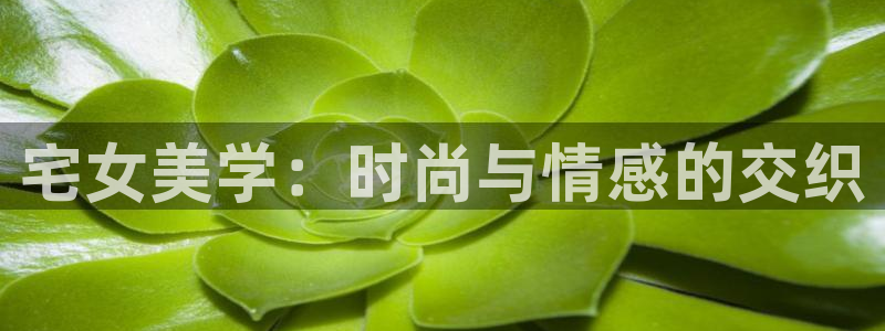 蓝莓 电影：宅女美学：时尚与情感的交织