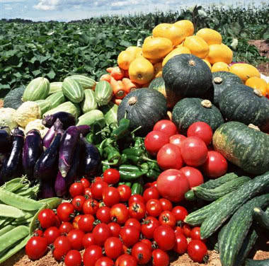 华北绿色食品告诉你 什么是绿色食品？常吃它们有什么好处