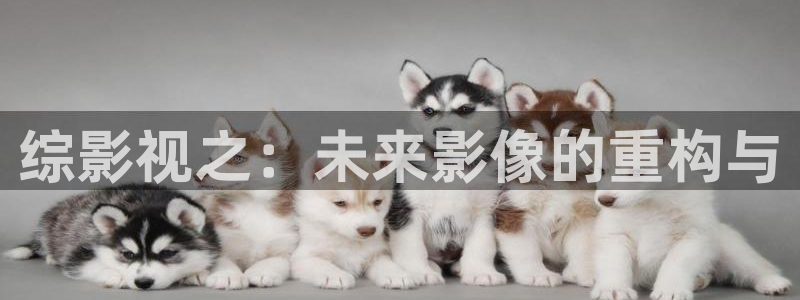 蓝莓视频最新地址：综影视之：未来影像的重构与