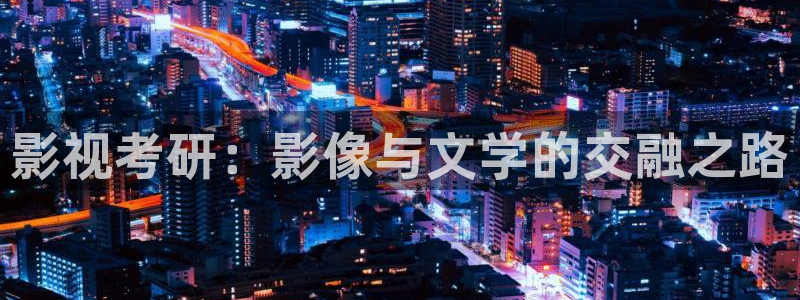 蓝莓视频网站在线观看：影视考研：影像与文学的交融之路