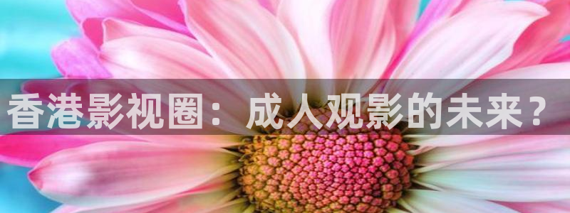 蓝莓网站入口：香港影视圈：成人观影的未来？