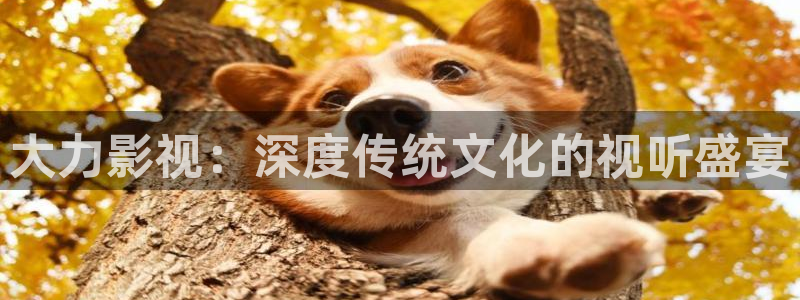 蓝莓大片：大力影视：深度传统文化的视听盛宴