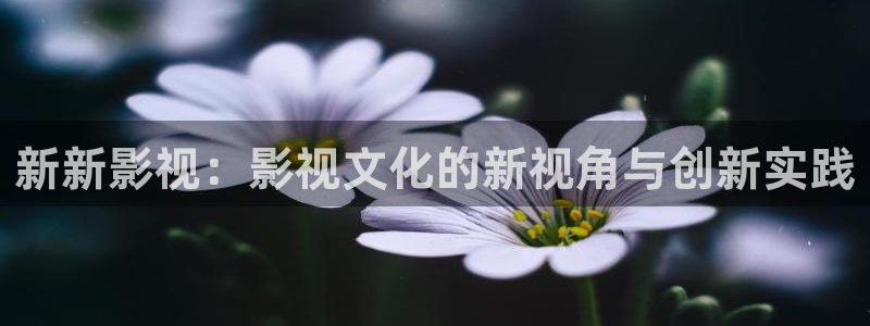 蓝莓视频最新网址：新新影视：影视文化的新视角与创新实践