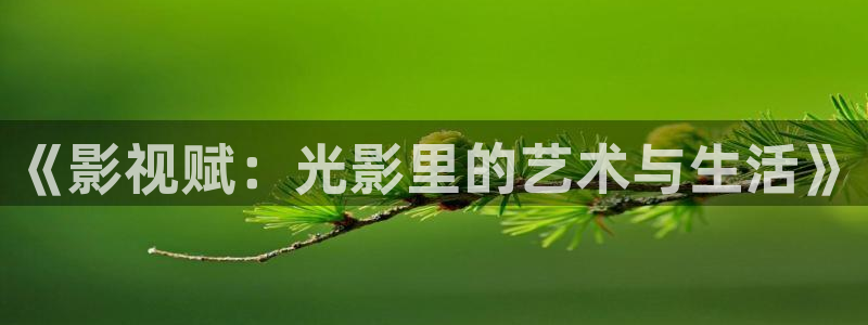 蓝莓的生长视频：《影视赋：光影里的艺术与生活》