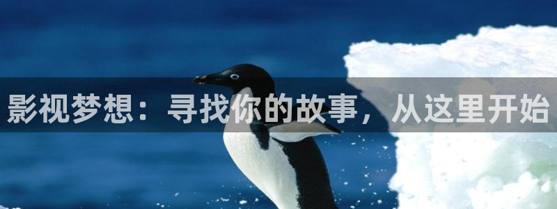 蓝莓网在线观看：影视梦想：寻找你的故事，从这里开始