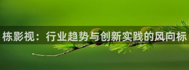 蓝莓视频精品导航：栋影视：行业趋势与创新实践的风向标