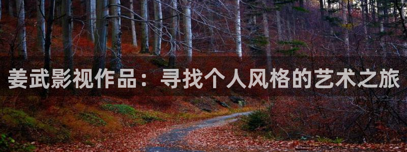 诺特兰德蓝莓叶黄素片：姜武影视作品：寻找个人风格的艺术之旅